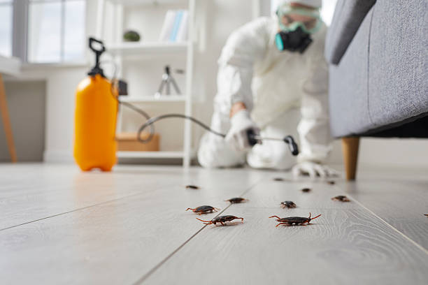 Trusted Rodent Control service in North Sioux City, SD - Nex Pest Control