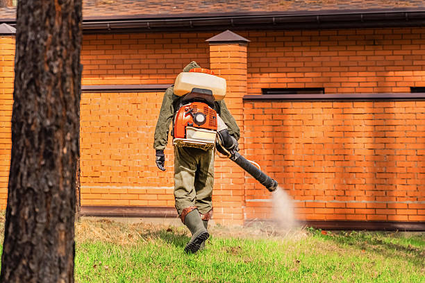 Trusted Cockroach Control service in North Sioux City, SD - Nex Pest Control